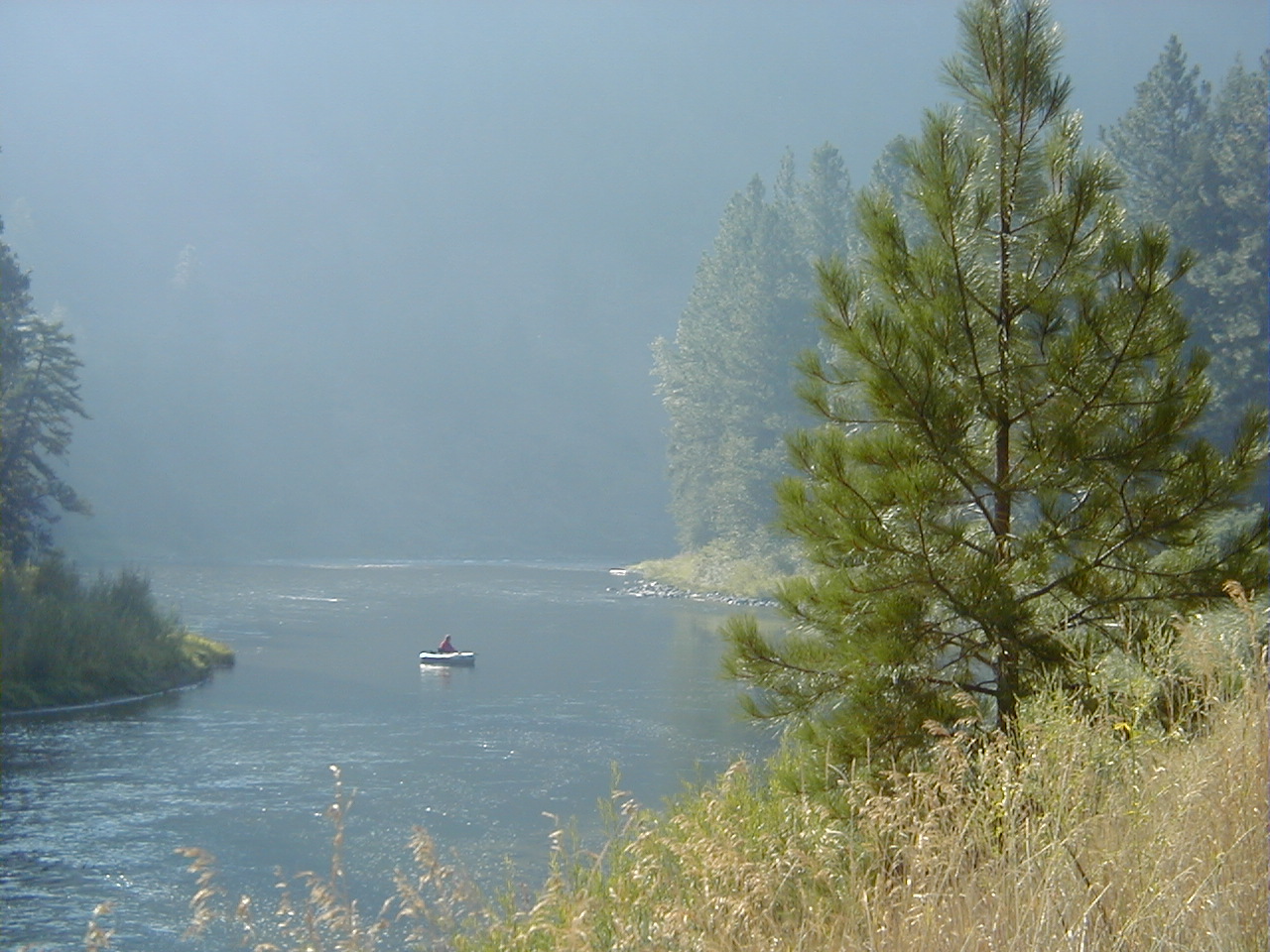 Welcome to my updated website