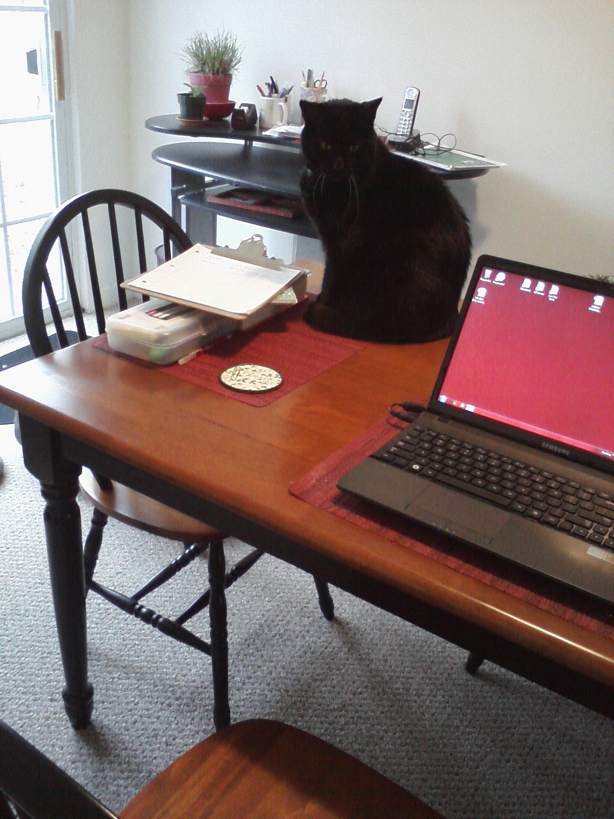 3 Biggest No-Nos When Working from Home