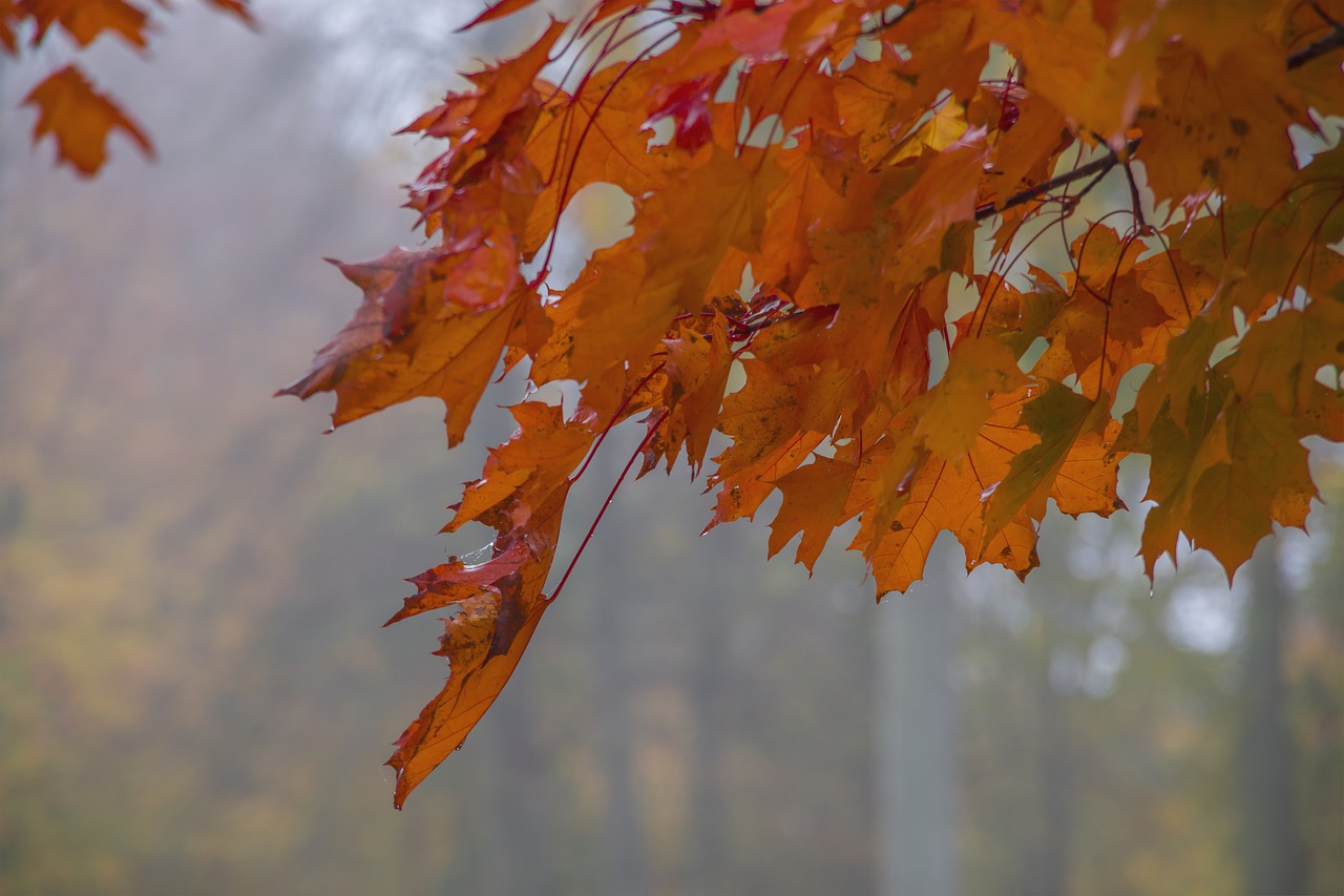 Winning and Losing–and Temper Tantrums